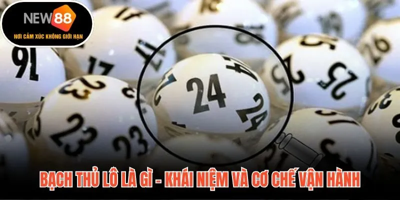 Bạch thủ lô là gì độc thủ một con và tỷ lệ ăn 1 ăn 99