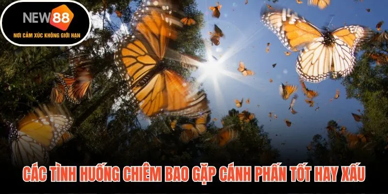 Hoàn cảnh chiêm bao quyết định điềm báo tốt hay xấu