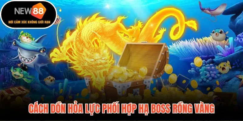 Bộ chiến thuật thực chiến và timing phát đạn cuối chuẩn xác