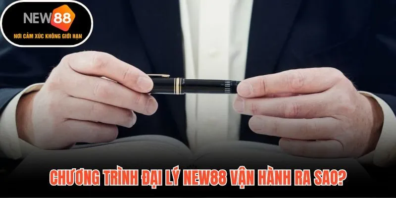 Đại lý New88 và mô hình chiết khấu tỷ lệ thuận theo hiệu suất thực tế