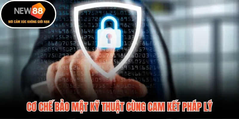 Hệ thống phòng thủ nhiều tầng lớp bảo vệ quyền riêng tư hội viên