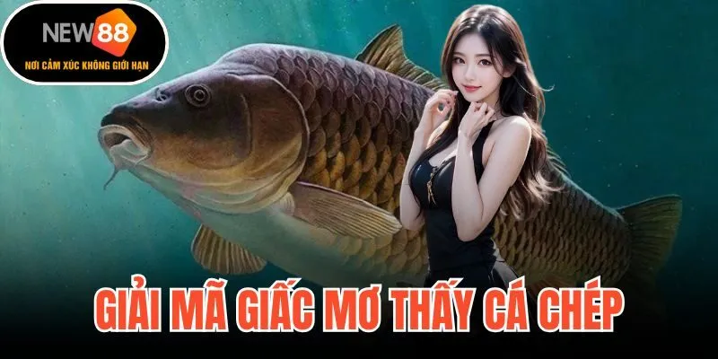 Giải Mã Giấc Mơ Thấy Cá Chép