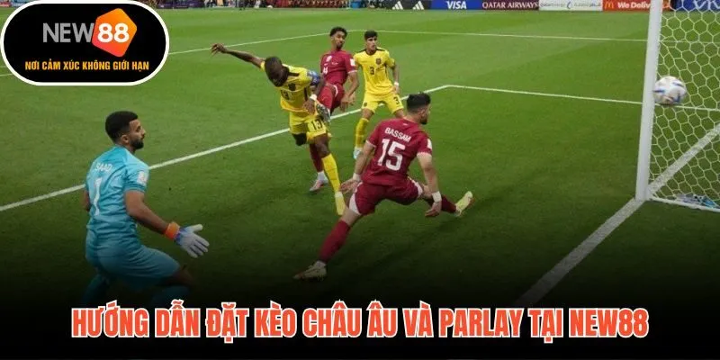 Năm bước đặt kèo châu Âu Parlay tại New88 nhanh gọn
