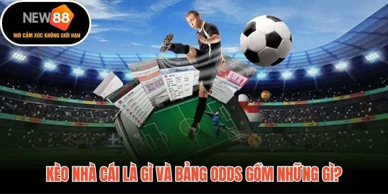 Bảng odds kèo nhà cái và cơ chế margin ẩn sau từng con số