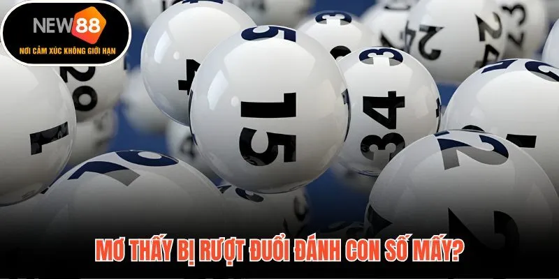 Mơ thấy bị rượt đuổi và bộ số may mắn theo từng kết cục