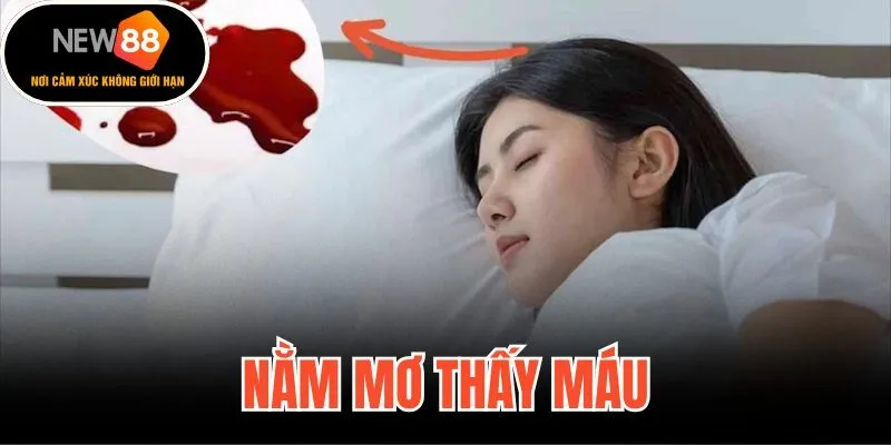 Nằm Mơ Thấy Máu