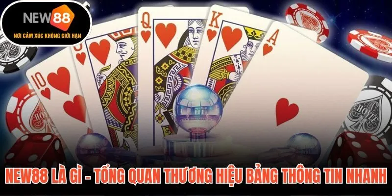 Giới thiệu New88 qua hồ sơ thương hiệu và bảng thông tin nhanh