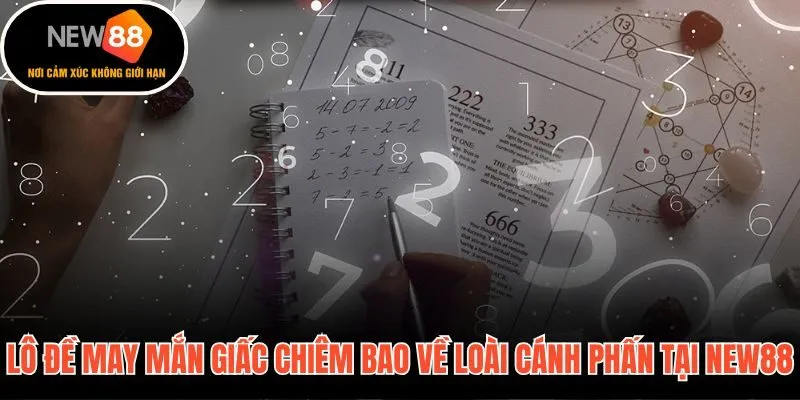 Số lô đề may mắn từ giải mã giấc mơ thấy bướm tại New88