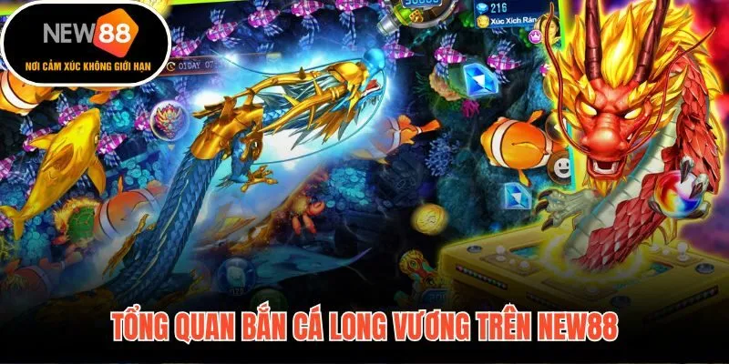 Toàn cảnh đấu trường bắn cá long vương và cơ cấu phòng đấu