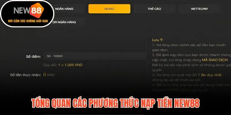 4 kênh nạp tiền New88 với tốc độ xử lý và hạn mức linh hoạt