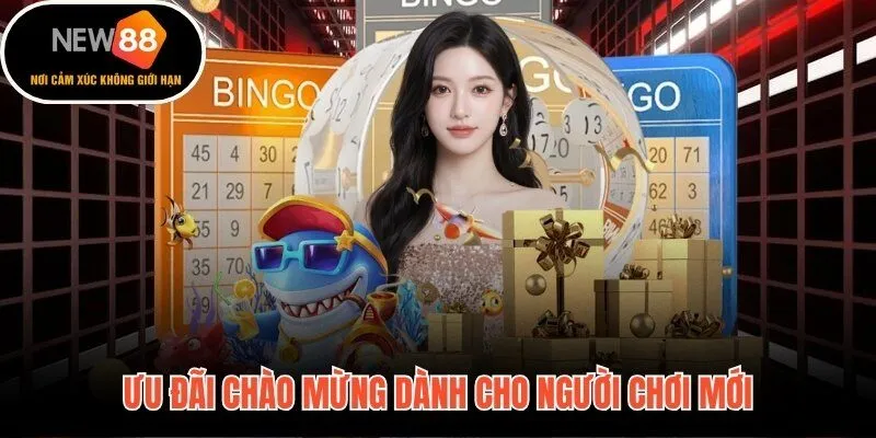 New88 bonus chào mừng lên đến 8.888.000 VNĐ và hoàn trả 3,5% hàng ngày