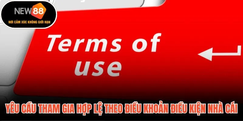 Điều khoản điều kiện xác định tiêu chuẩn pháp lý cho từng tài khoản hợp lệ